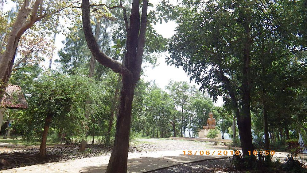 ชมวิวหลังองค์พระใหญ่
