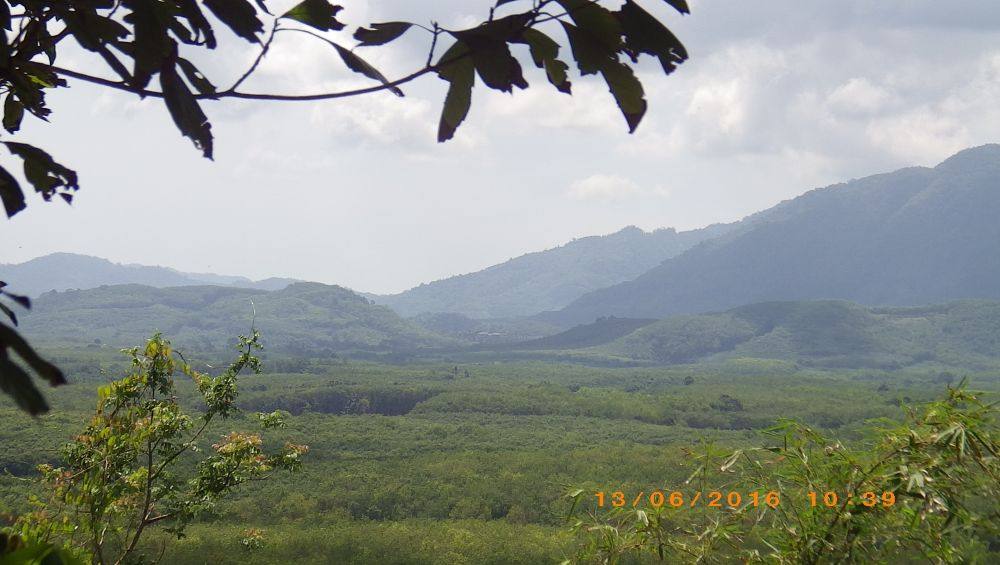 ชมวิวสวย ที่ วัดควนสงฆ์
