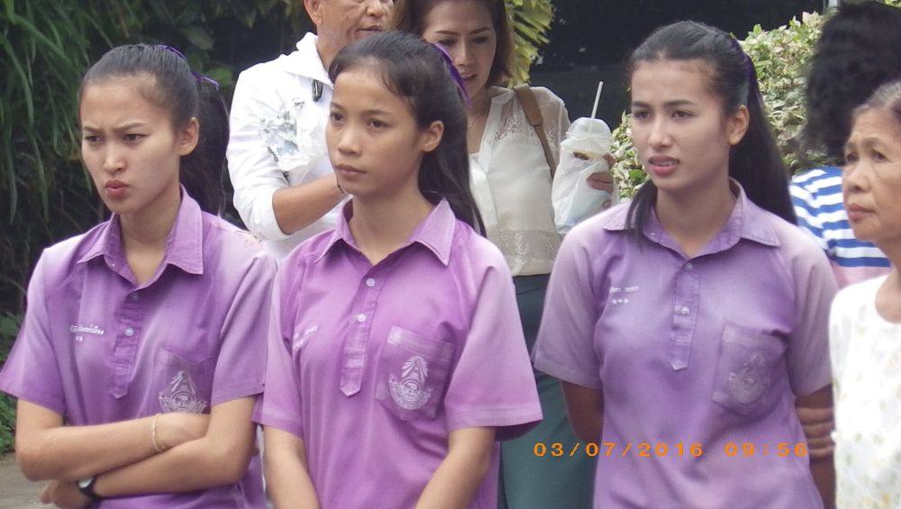 ชมการแสดง