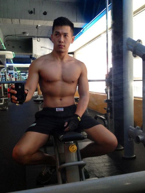 ชาโด้ ชาจิ ชามิ 1,112