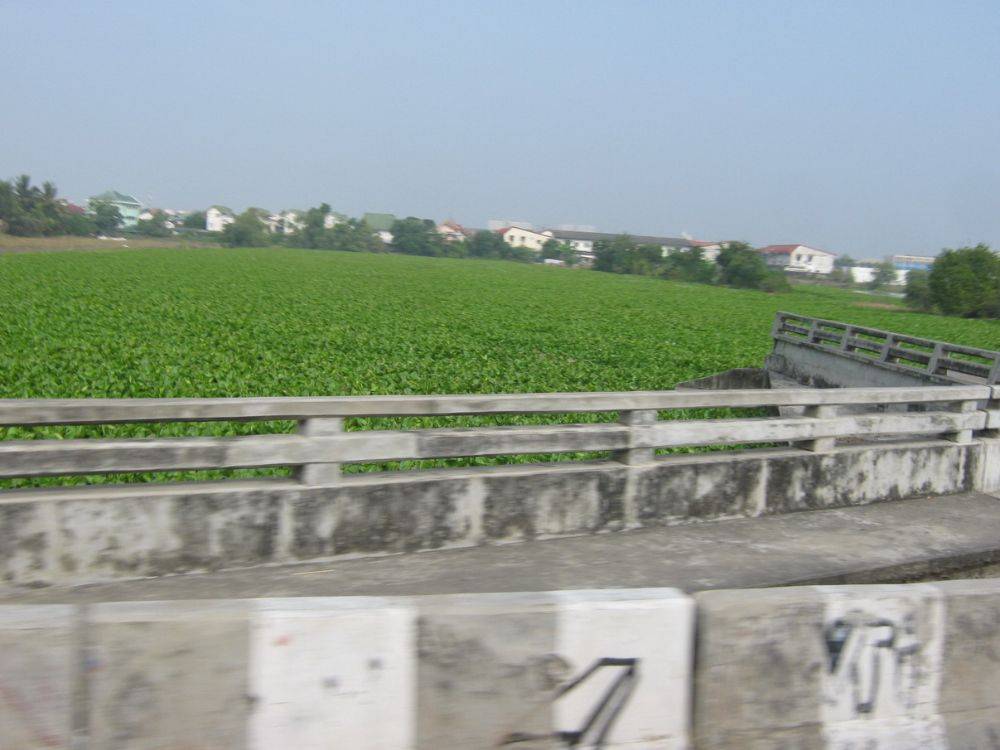 ชานเมือง ก่อนถึงมีนบุรี ขาออก