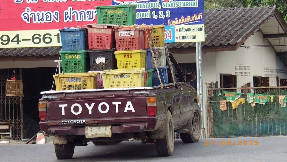 รถยนต์ญี่ปุ่น (ในประเทศไทย)