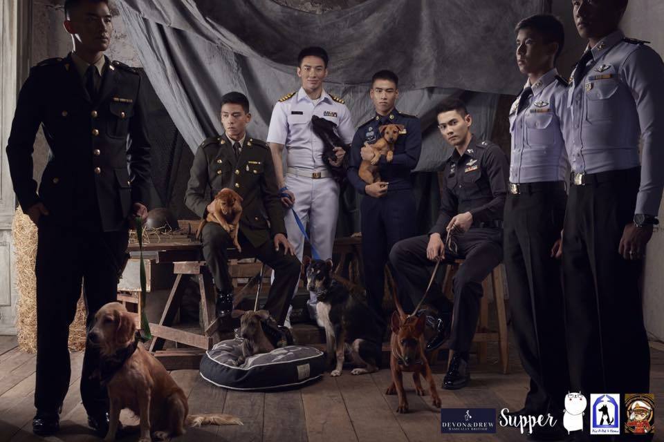 โครงการช่วยเหลือน้องหมาที่ถูกทอดทิ้งหาบ้าน