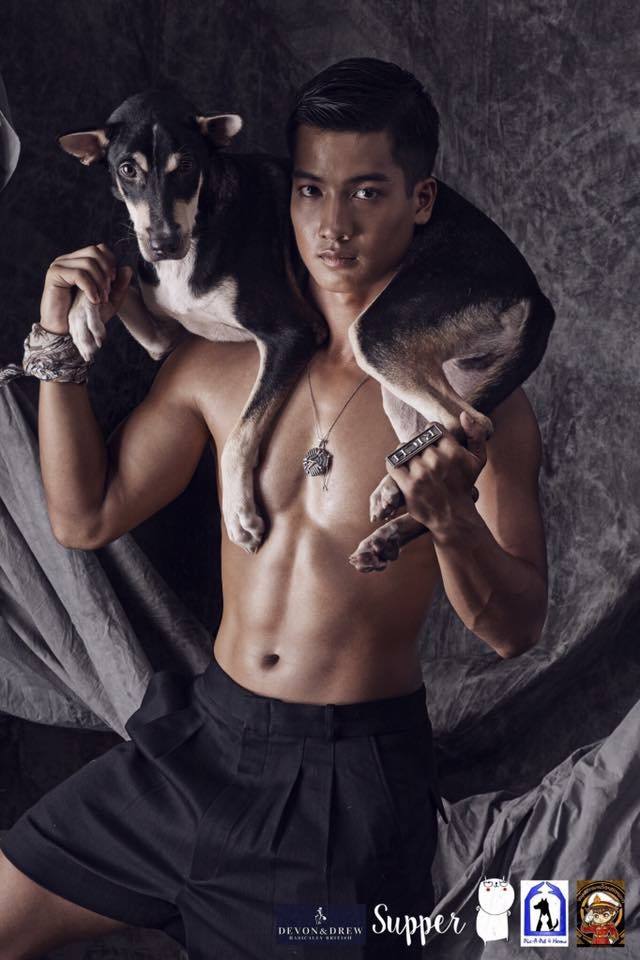 โครงการช่วยเหลือน้องหมาที่ถูกทอดทิ้งหาบ้าน