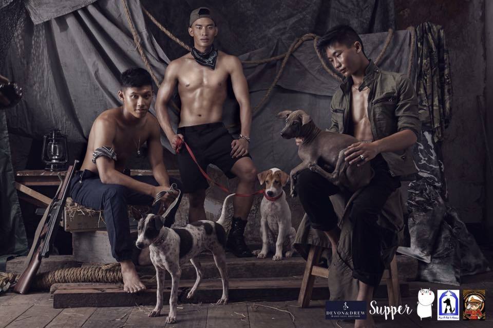 โครงการช่วยเหลือน้องหมาที่ถูกทอดทิ้งหาบ้าน