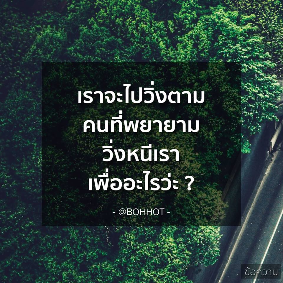 คำคมของคนโสดอย่างเราๆ ทั้งโดนเท ทั้งนก รู้สึกสุข เศร้า เหงา หงอยปนกันไป