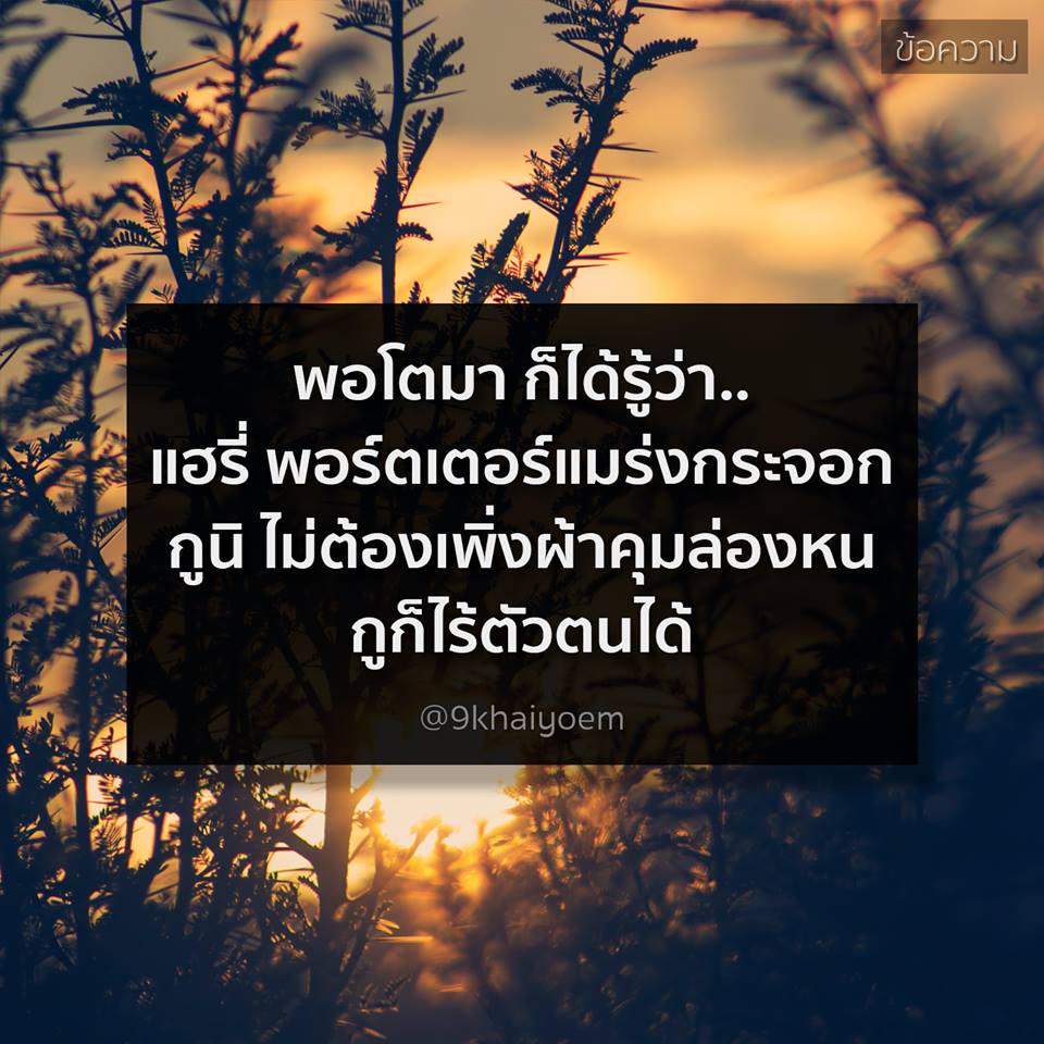 คำคมของคนโสดอย่างเราๆ ทั้งโดนเท ทั้งนก รู้สึกสุข เศร้า เหงา หงอยปนกันไป