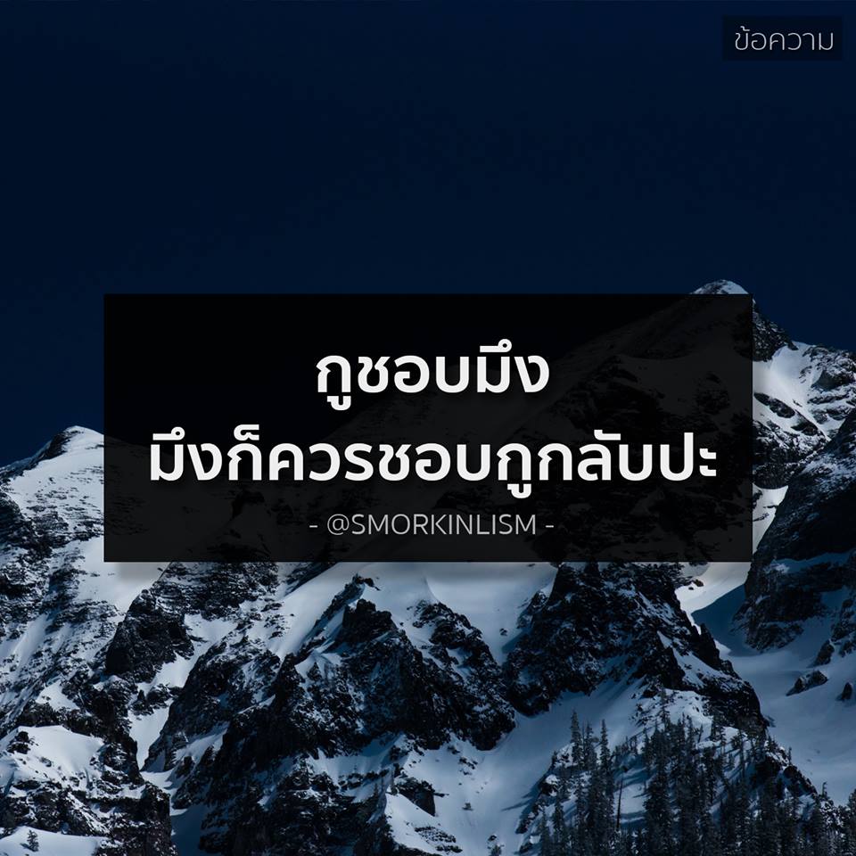 คำคมของคนโสดอย่างเราๆ ทั้งโดนเท ทั้งนก รู้สึกสุข เศร้า เหงา หงอยปนกันไป