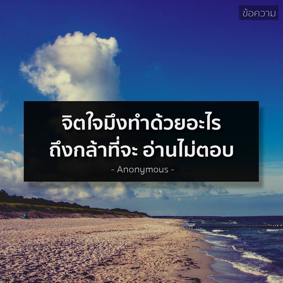 คำคมของคนโสดอย่างเราๆ ทั้งโดนเท ทั้งนก รู้สึกสุข เศร้า เหงา หงอยปนกันไป