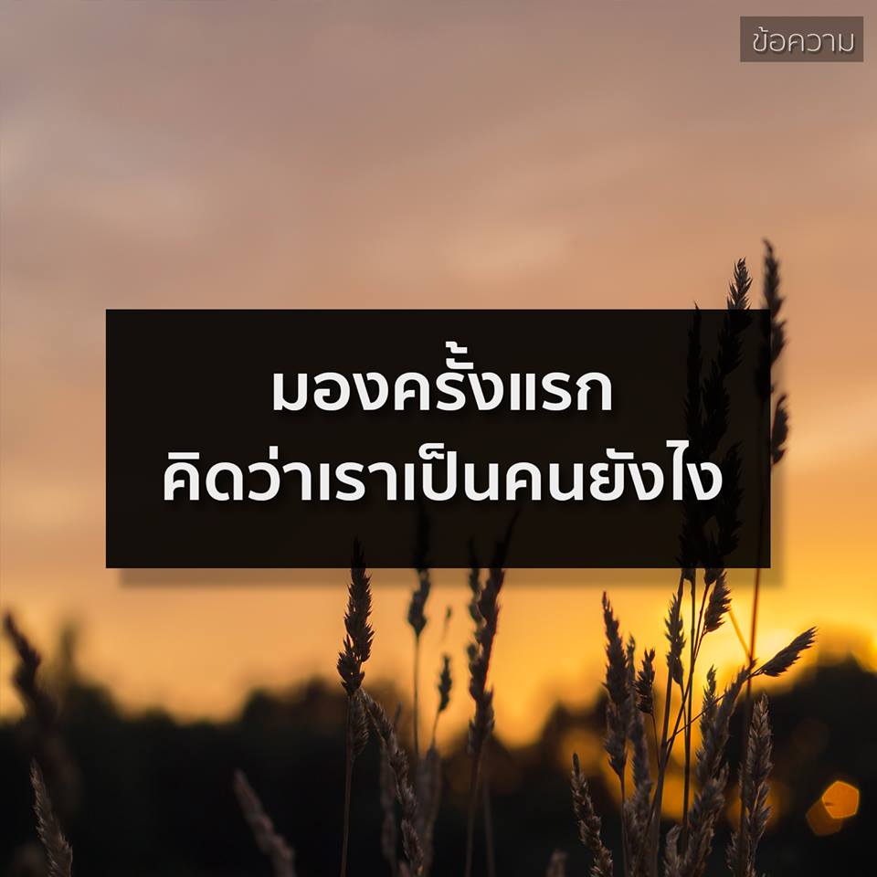 คำคมของคนโสดอย่างเราๆ ทั้งโดนเท ทั้งนก รู้สึกสุข เศร้า เหงา หงอยปนกันไป