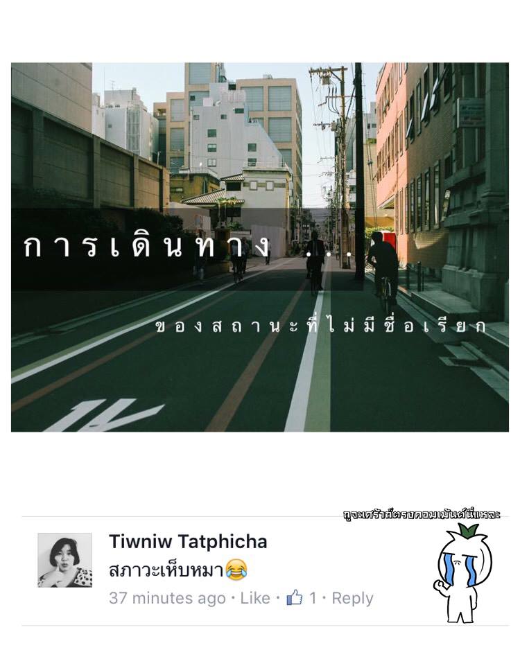 คำคมของคนโสดอย่างเราๆ ทั้งโดนเท ทั้งนก รู้สึกสุข เศร้า เหงา หงอยปนกันไป