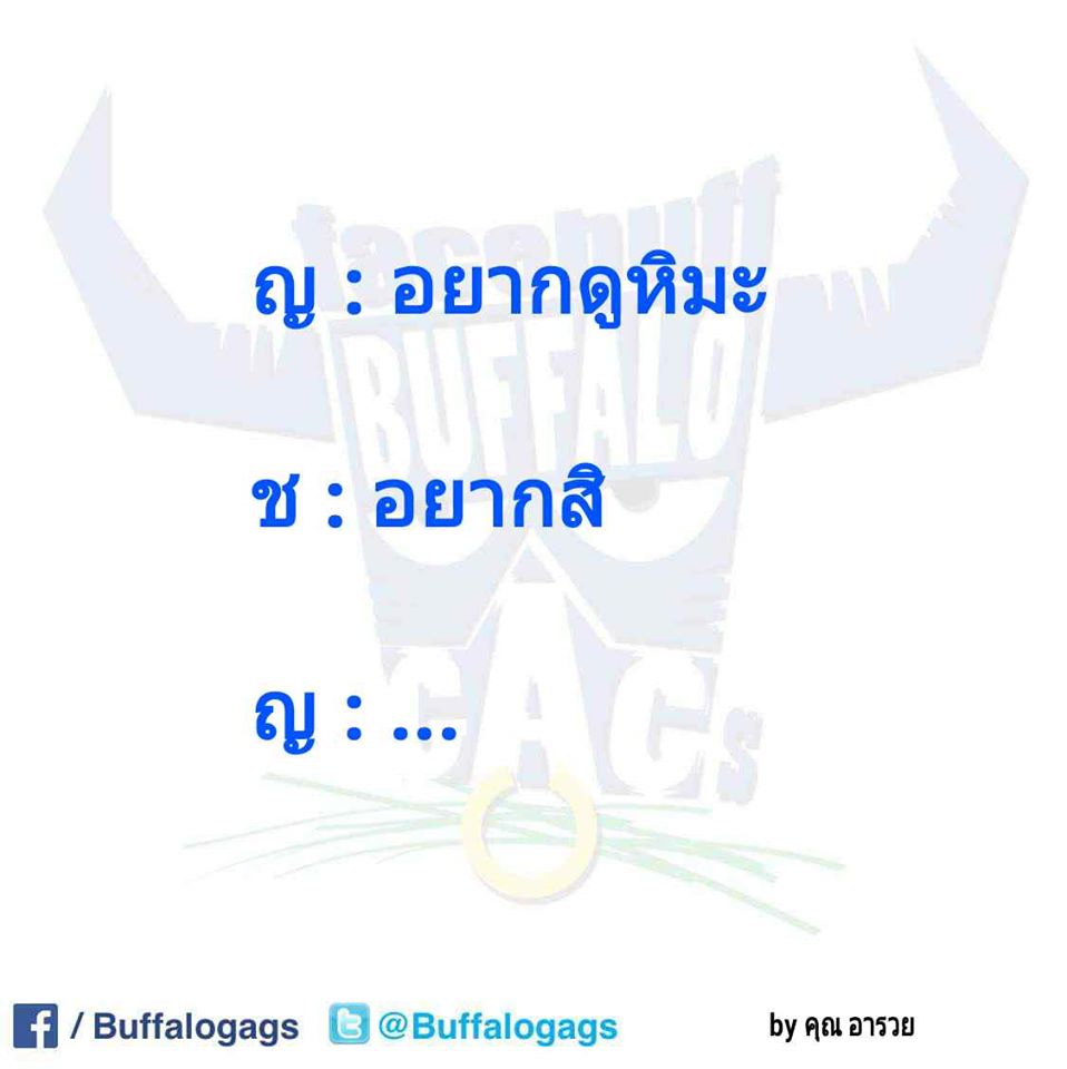 คำคมของคนโสดอย่างเราๆ ทั้งโดนเท ทั้งนก รู้สึกสุข เศร้า เหงา หงอยปนกันไป