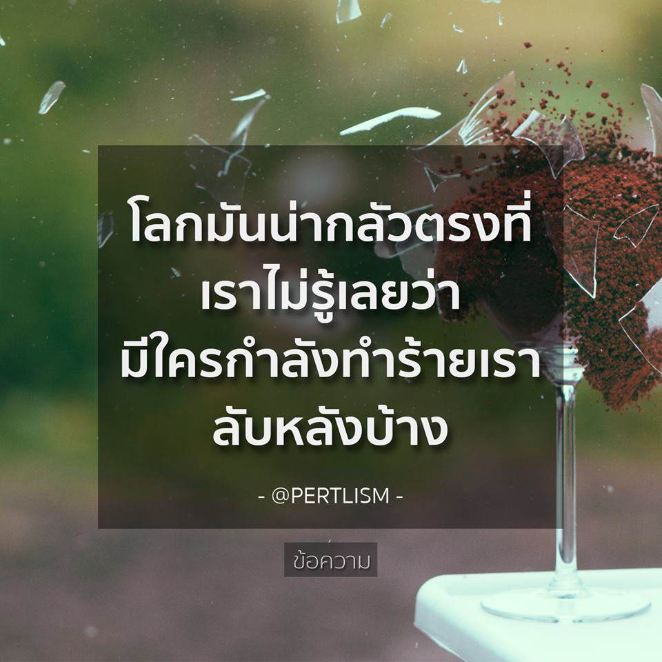 คำคมของคนโสดอย่างเราๆ ทั้งโดนเท ทั้งนก รู้สึกสุข เศร้า เหงา หงอยปนกันไป