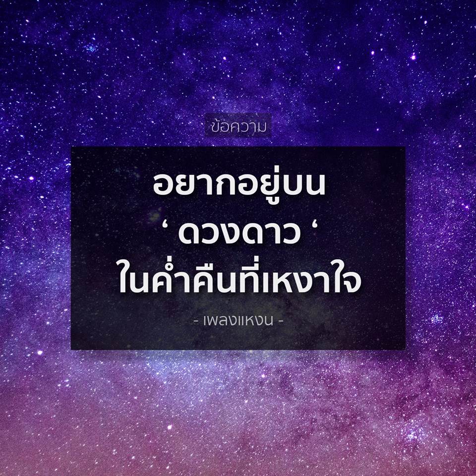 คำคมของคนโสดอย่างเราๆ ทั้งโดนเท ทั้งนก รู้สึกสุข เศร้า เหงา หงอยปนกันไป