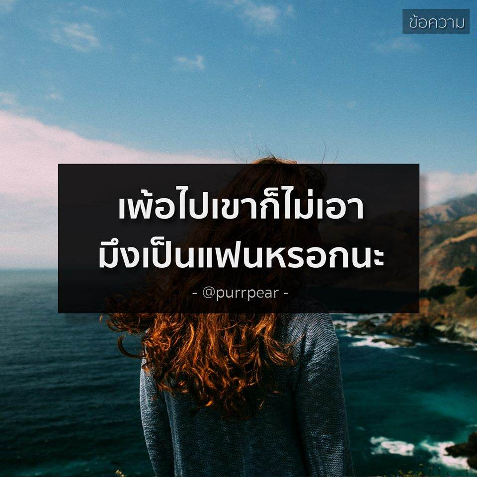 คำคมของคนโสดอย่างเราๆ ทั้งโดนเท ทั้งนก รู้สึกสุข เศร้า เหงา หงอยปนกันไป