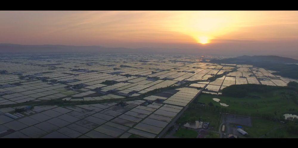 Capture : โมเม้นสวยๆและน่ารักจากหนังไทยบรรยากาศญี่ปุ่น PRESENT PERFECT ...แค่นี้ก็ดีแล้ว