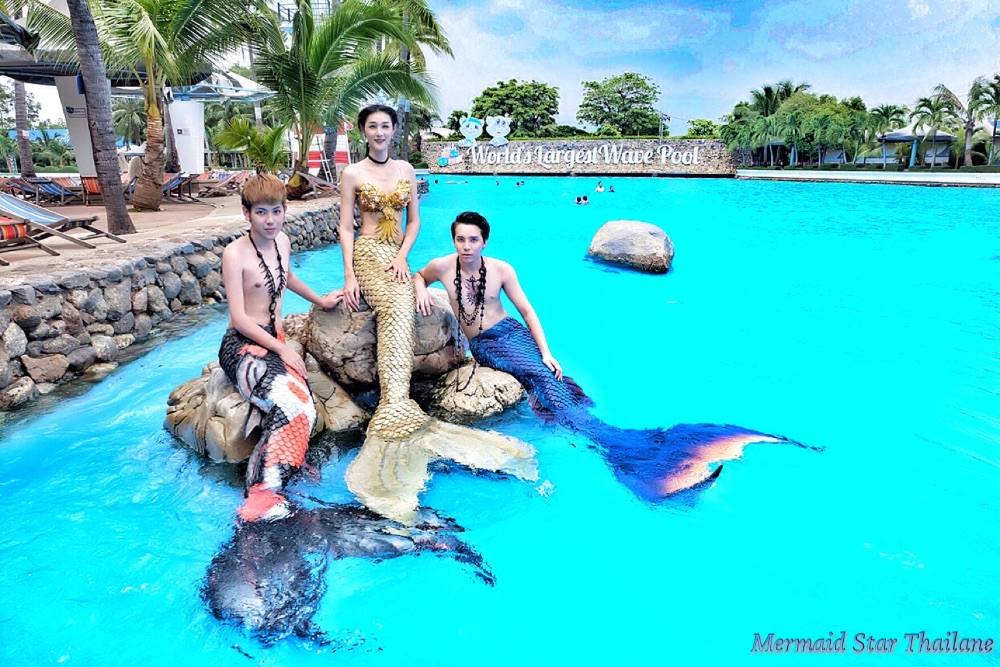 Mermaid star Thailand