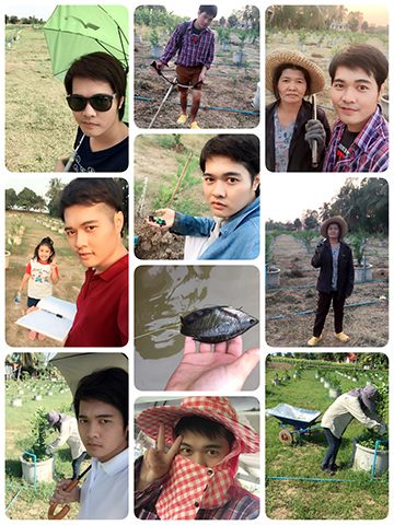 บอกเลยง่านนี้ไม่ได้พ่อ ไม่ได้แม่ ไม่ได้พี่สาว พี่เขย และ...โยน คงไปไม่รอด ในตอนนั้นการเริ่มต้น ทุกคนล้วนให้กำลังใจกัน จนทำให้มีแรงสุ้ เหนื่อยมากนักก็พักบ้าง งานหลักของพ่อคือช่วยรดน้ำ ส่วนแม่ทำทุกอย่าง