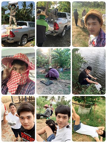 งานปุ๋ยขี้วัวไม่เคยขาดครับ แถวสวนเราคอกวัวไหนมีเราเหมาหมดครับ ทุกๆ อาทิตย์ผมสัญญากับปลา เจ้ากรรมนายเวรทั้งหลาย พระแม่คงคา ว่าผมจะไปซื้อปลาที่ตลาดสดมาปล่อยทุกครั้ง ถ้าผมไม่ติดอะไรจำเป็นจริงๆ บอกเลยว่