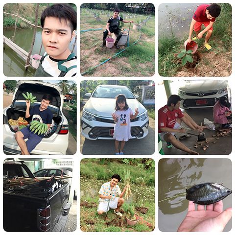บางทีลูกค้าต้องการกล้วยด่วนผมก็วิ่งไปส่งครับ ส่วนที่บ้านที่เห็นนั่งกันอยู่ คือนั่งใส่ด้ามจอบ เพราะบ้านผมทำอักหนึ่งอาชีพคือ ขายมีด จอบเสียมฯลฯ อุปกรณ์การเกษตรนั่นแหละครับ รูปล่างสุดนี่ผมปลุตะไคร้เองเล