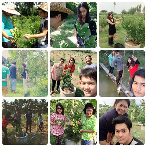 ขอบคุณผู้เยี่ยมชม และผู้ขอเข้ามาศึกษาวิธีการทำงานสวน ต่างๆ หรือลูกค้า ขออภัยที่ไม่ได้ถ่ายรูปไว้หลายท่าน