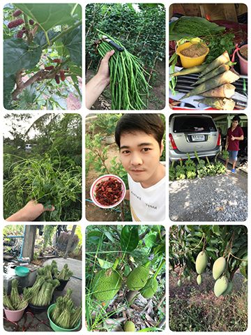 สวนมะนาวมหาราช
