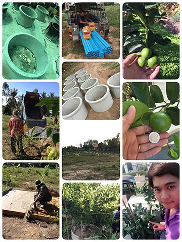 เริ่มวัดที่ คำนวน สั่งวงบ่อ ท่อ จัดซื้ออุปกรณ์ทุกอย่างเช่น เครื่องตัดหญ้า ถังฉีดยา ฯลฯ สร้างแท๊งน้ำไว้ยามฉุกเฉิน วิ่งดูงานตามสวนเกษตรกรผู้ปลูกมะนาวจริงๆ ไปหลายที่มากครับ ได้มีโอกาศสัมผัสกับเกษตรกรตัวจ