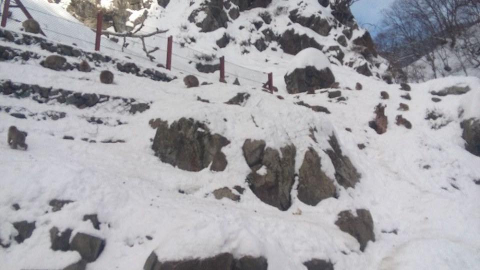 Japan Winter 2016 Part 2