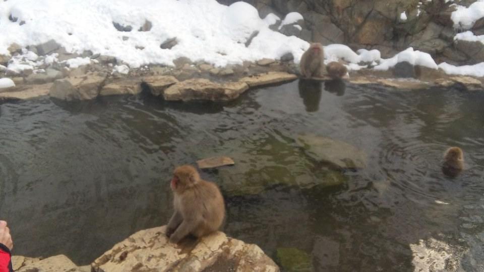 Japan Winter 2016 Part 2