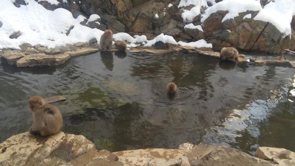 Japan Winter 2016 Part 2
