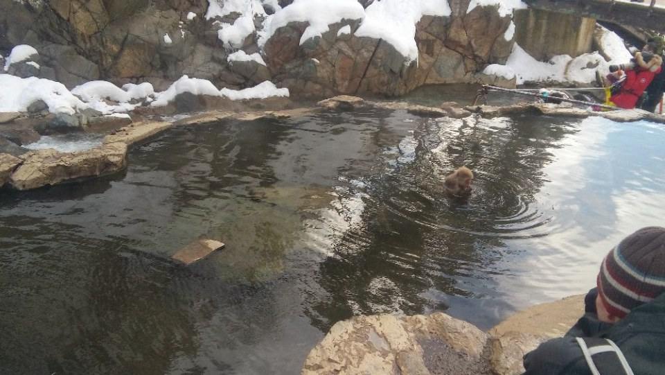 Japan Winter 2016 Part 2