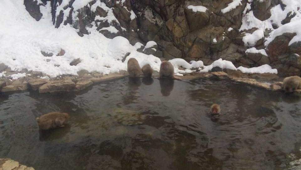 Japan Winter 2016 Part 2