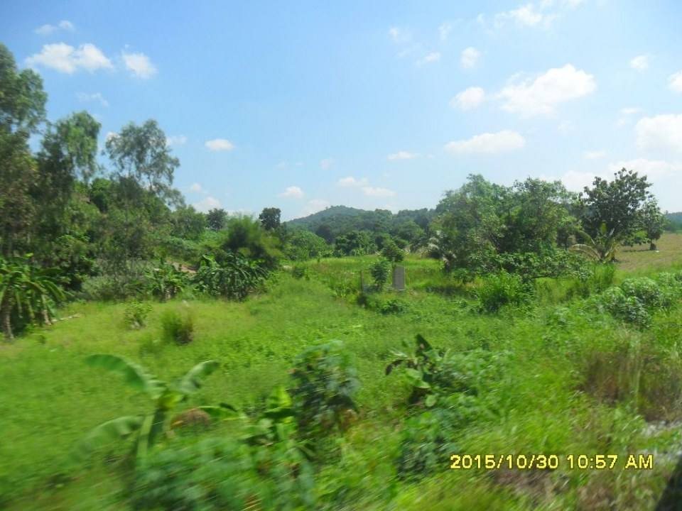 ริมทางรถไฟสายบ้านพลูตาหลวง