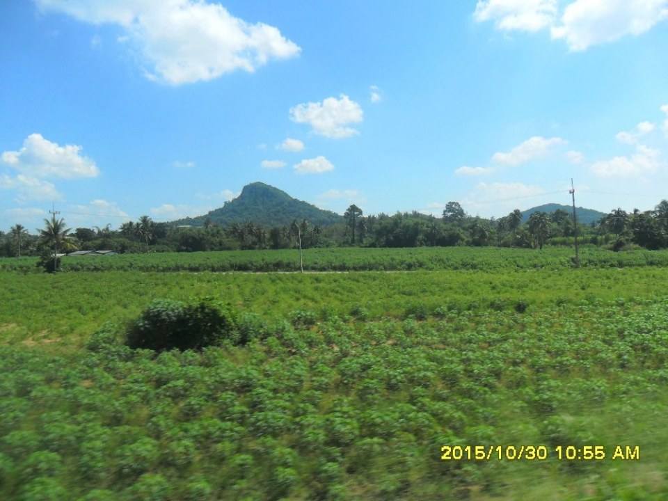 ริมทางรถไฟสายบ้านพลูตาหลวง