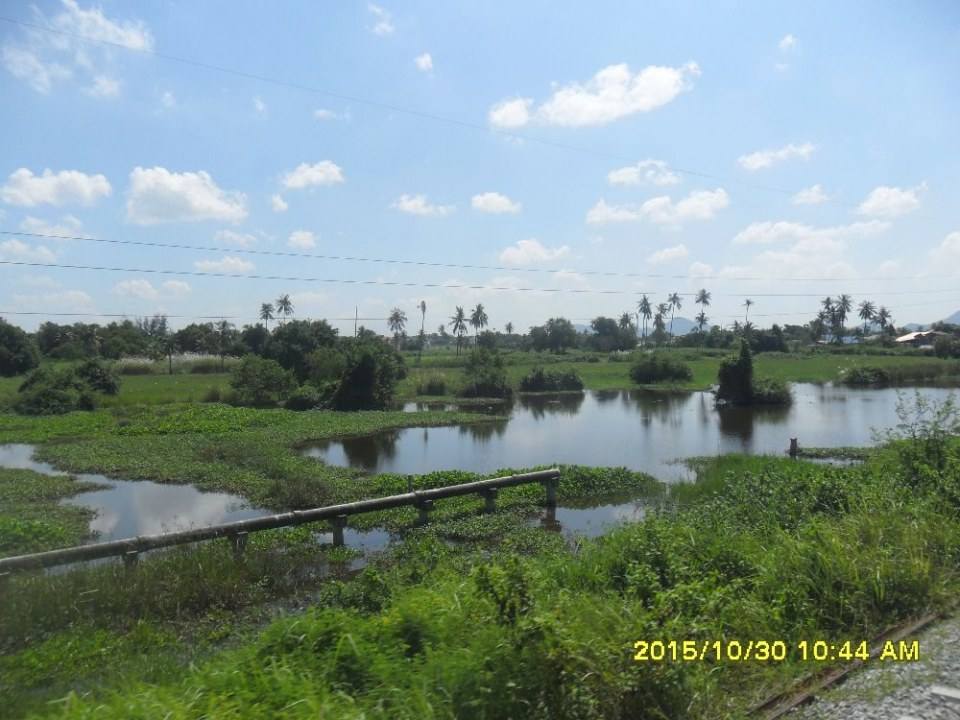 ริมทางรถไฟสายบ้านพลูตาหลวง