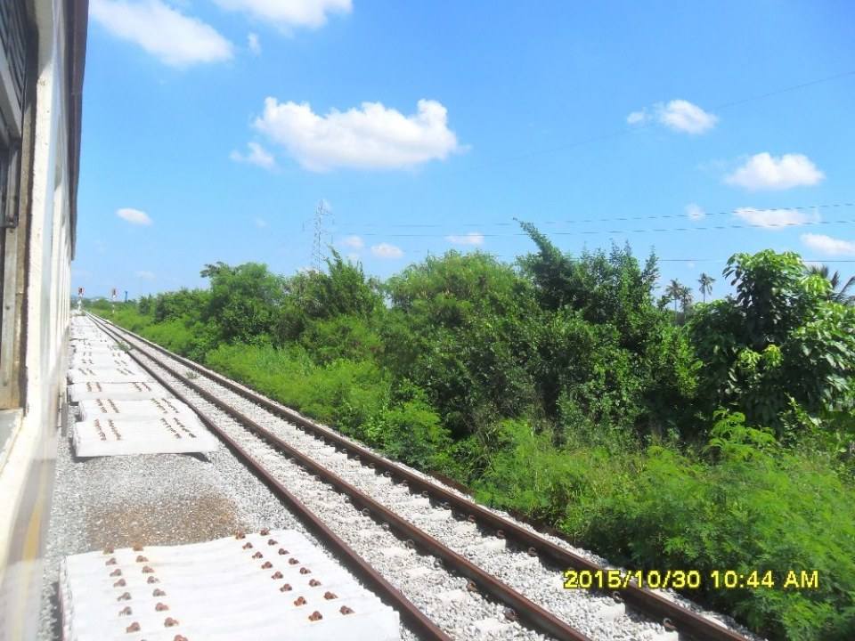 ริมทางรถไฟสายบ้านพลูตาหลวง