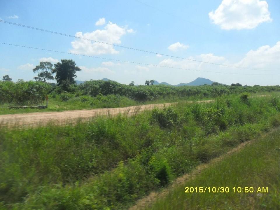 ริมทางรถไฟสายบ้านพลูตาหลวง
