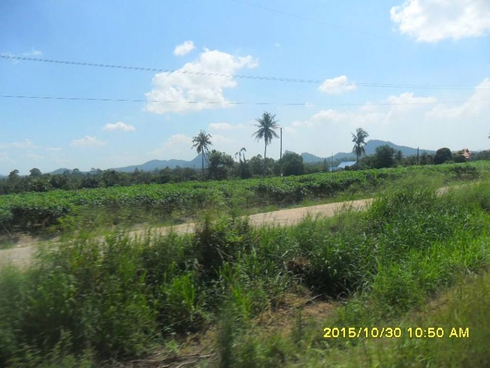 ริมทางรถไฟสายบ้านพลูตาหลวง