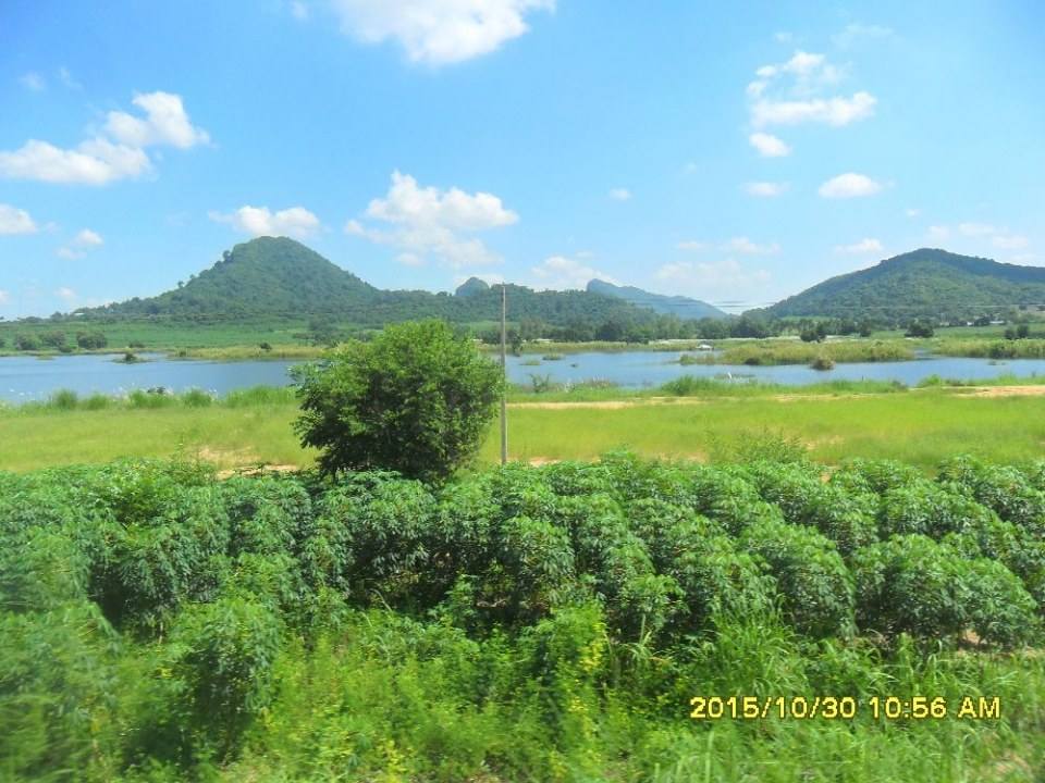 ริมทางรถไฟสายบ้านพลูตาหลวง