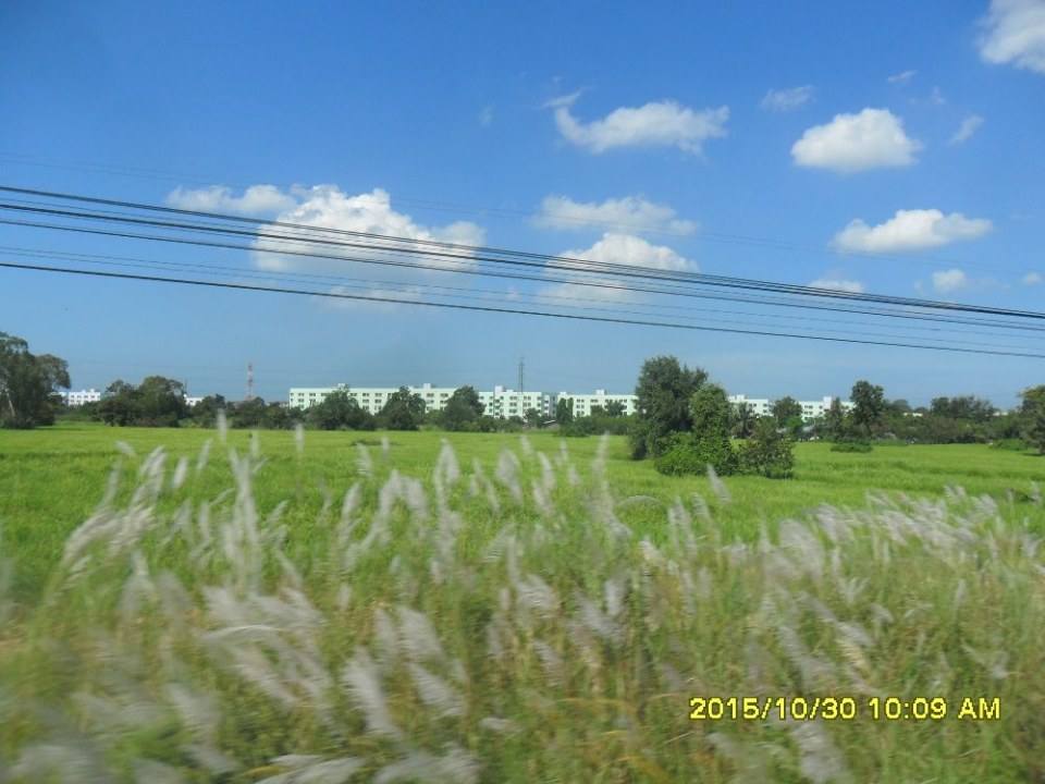 ริมทางรถไฟสายบ้านพลูตาหลวง