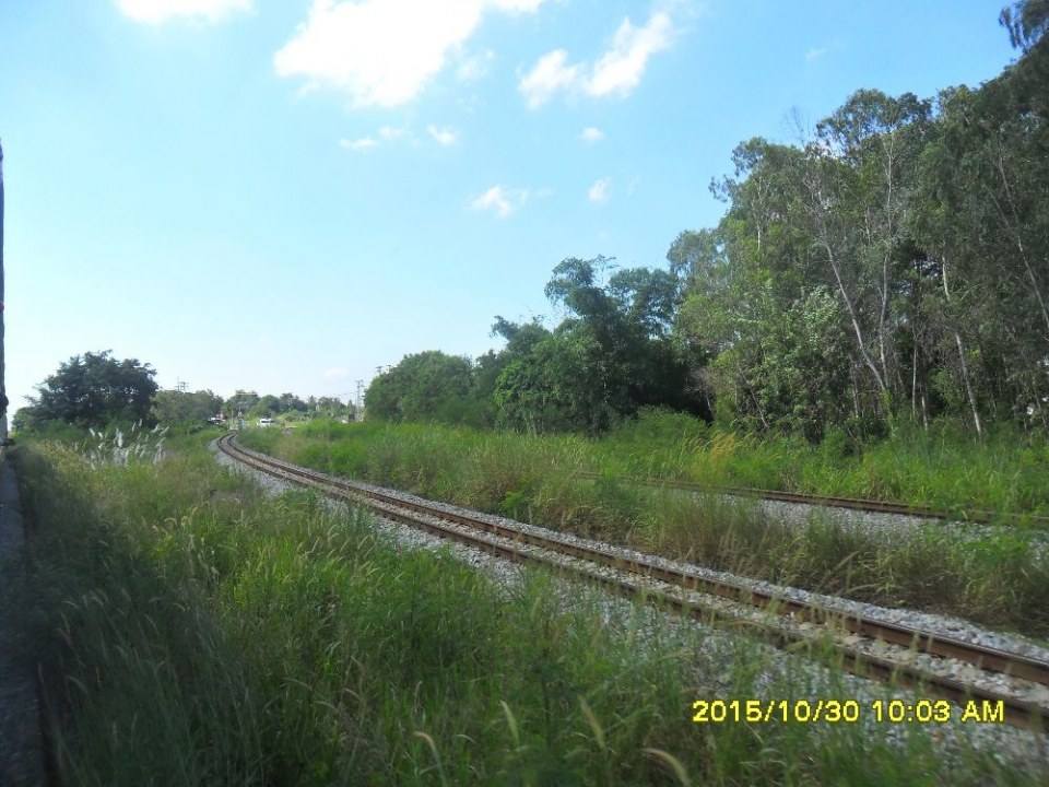 ริมทางรถไฟสายบ้านพลูตาหลวง