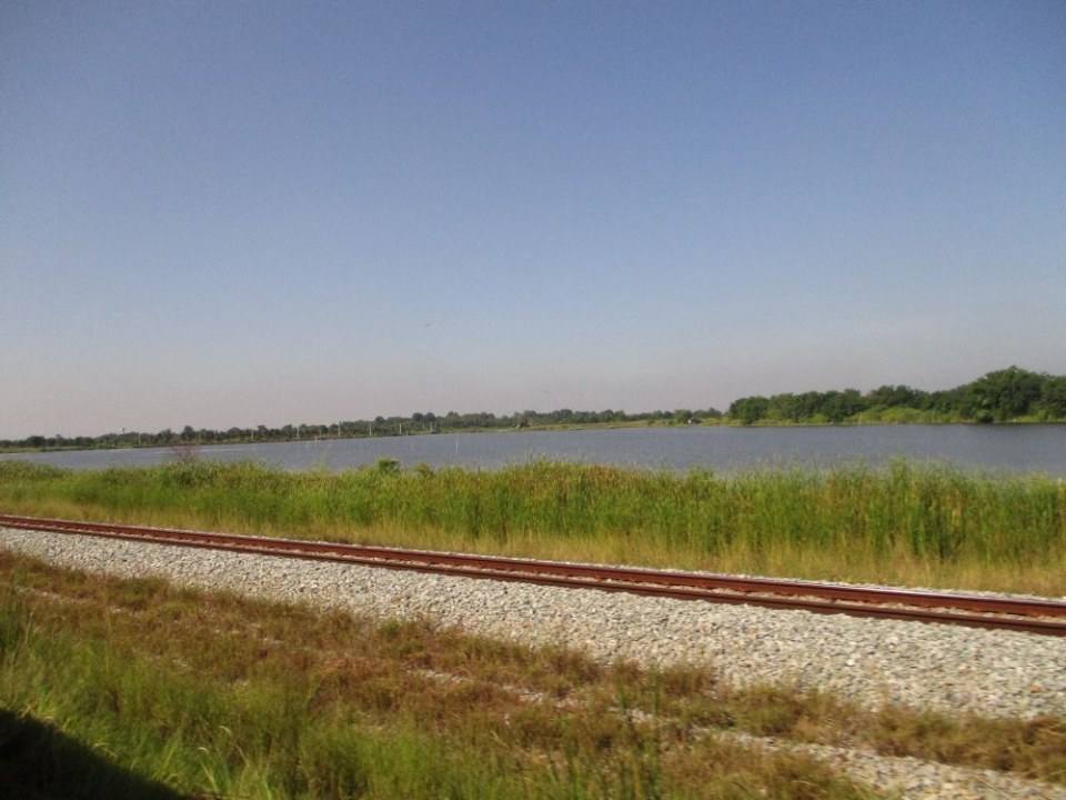 ริมทางรถไฟสายบ้านพลูตาหลวง