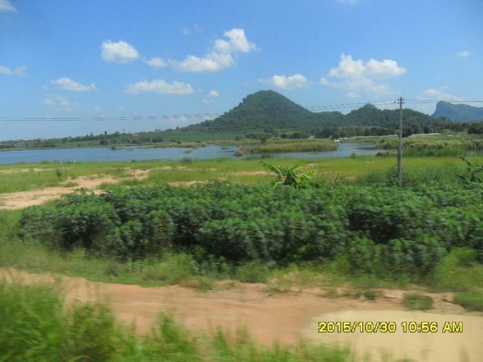 ริมทางรถไฟสายบ้านพลูตาหลวง