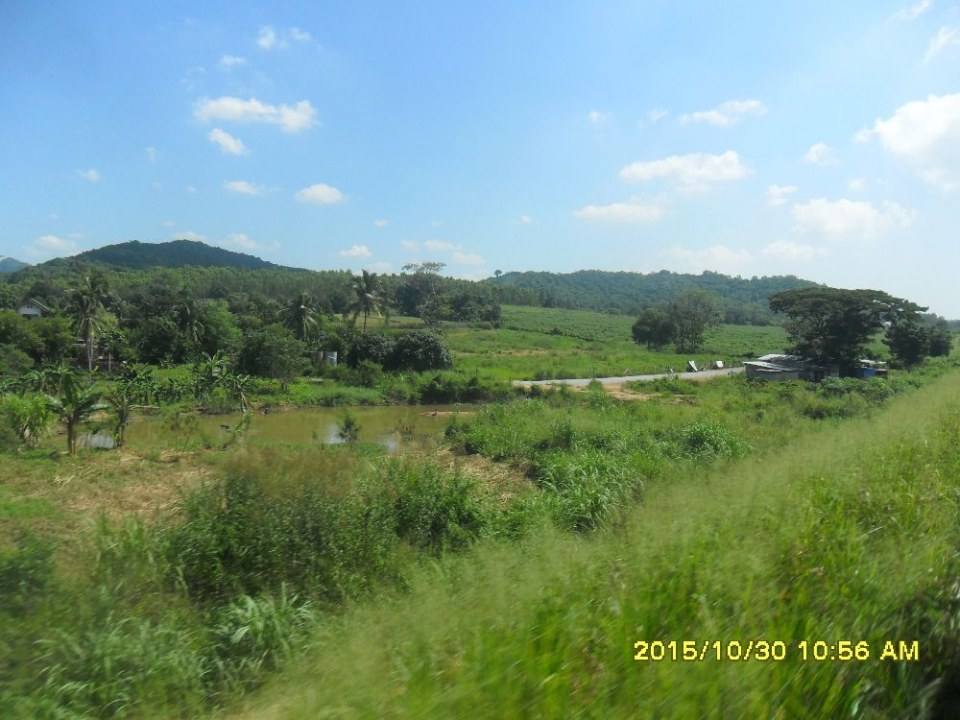 ริมทางรถไฟสายบ้านพลูตาหลวง