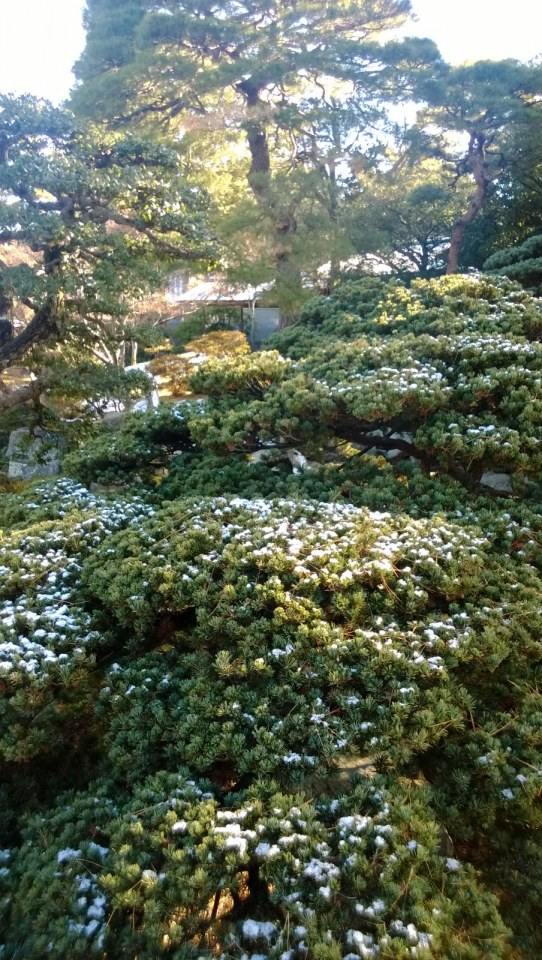 Japan Winter 2016 Part 3