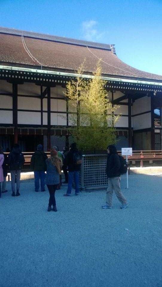 Japan Winter 2016 Part 3