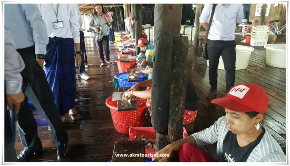 ธรรมชาติดิบ ๆ ในเมืองมะริด บางทีดูอย่างศิลปะ ก็ได้ความสงบ เห็นสัจจะของชีวิตเช่นกัน