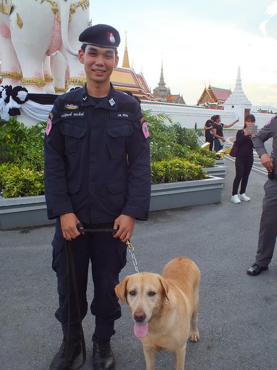 ไปเจอคนดีมา-83 01-11-59 มาทำดีเพื่อพ่อ #ทำดีเพื่อพ่อ