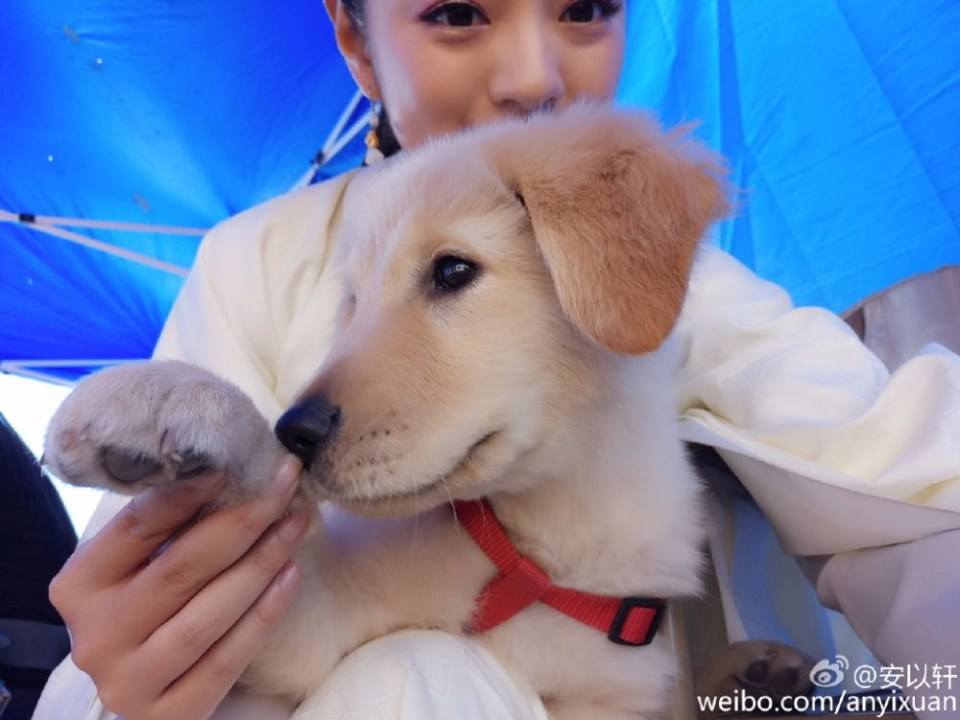 The Legend Of Du Gu 《独孤天下》 2016 part11