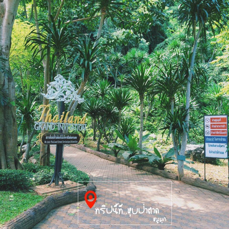ทริปนี้ที่ "หุบป่าตาด"